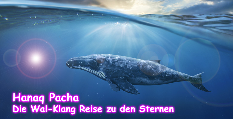Shamanic Dream - Schamanische Heilarbeit für Mensch und Tier - Laika Schamane - Basel Schweiz -Schamanismus,Aura-Soma,Tierkommunikation,Tiertherapie und Coaching