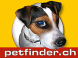 http://www.petfinder.ch